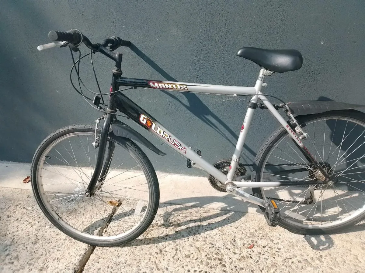 Bicycle - Image 1