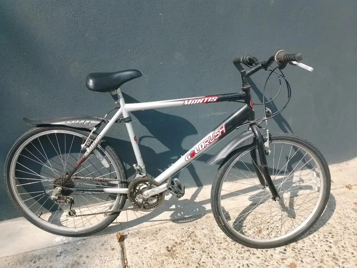 Bicycle - Image 2