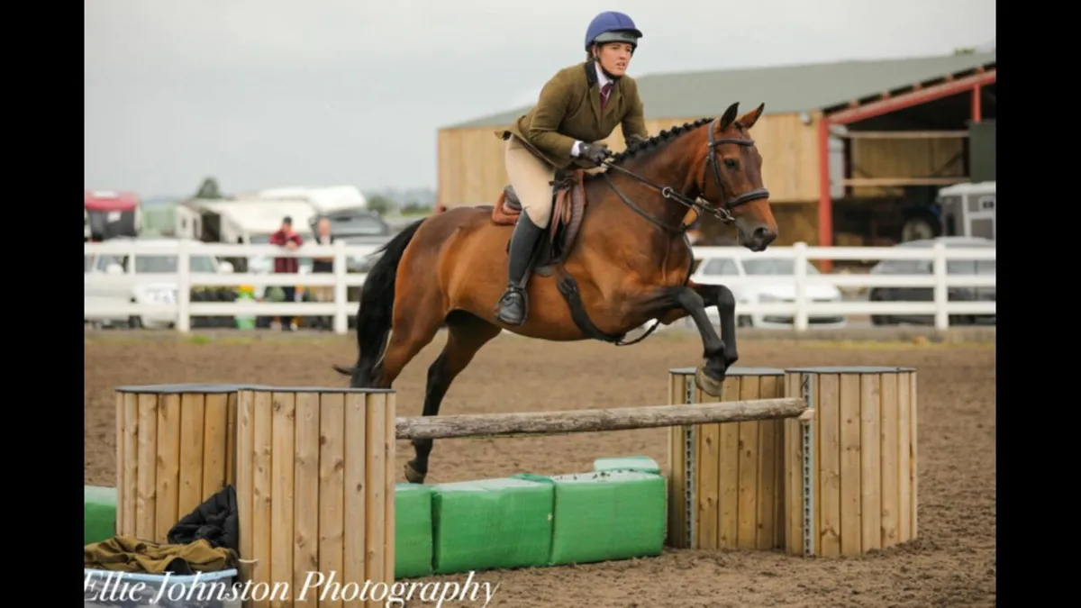 Pony - Image 1
