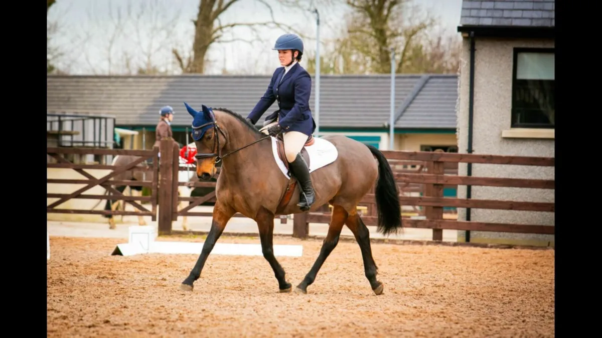 Pony - Image 2