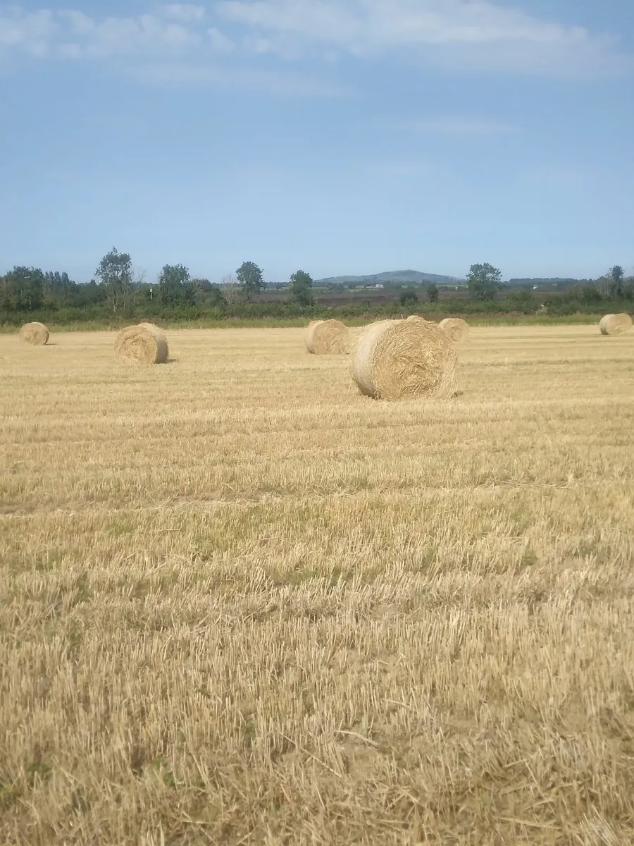 Round baled straw - Image 1