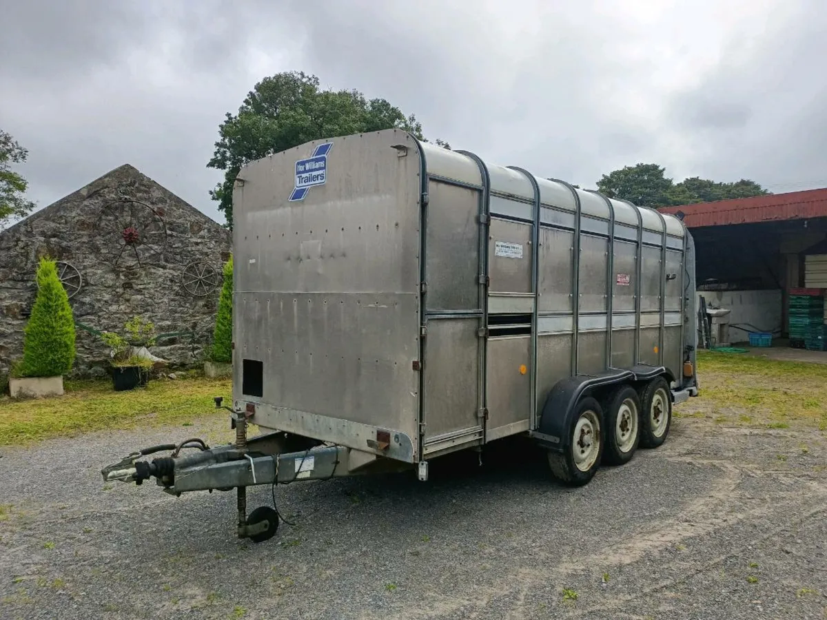 Ifor Williams Tri-axle Cattle Trailer 14x6 - Image 1