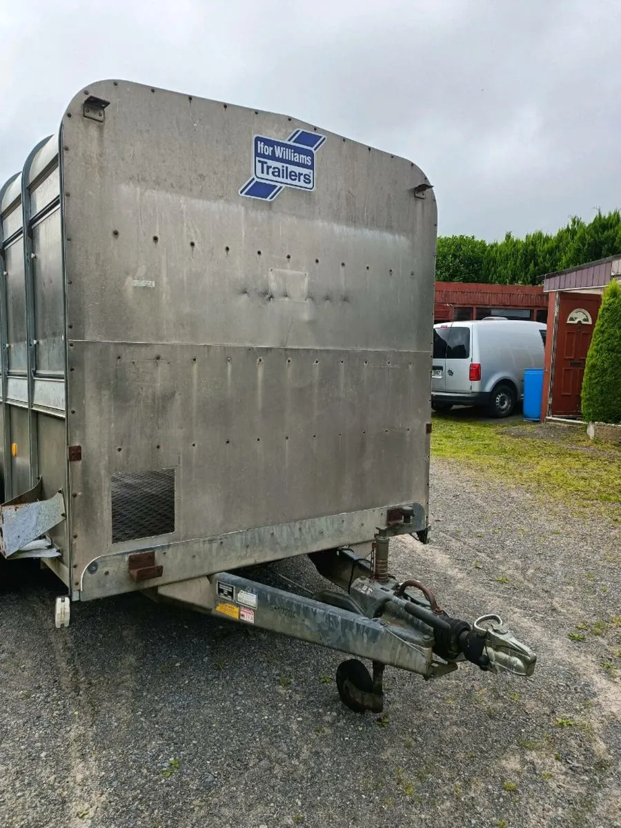 Ifor Williams Tri-axle Cattle Trailer 14x6 - Image 3