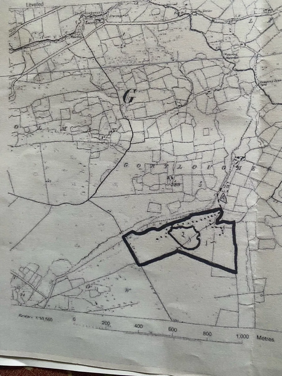 Forestry For Sale - Image 3