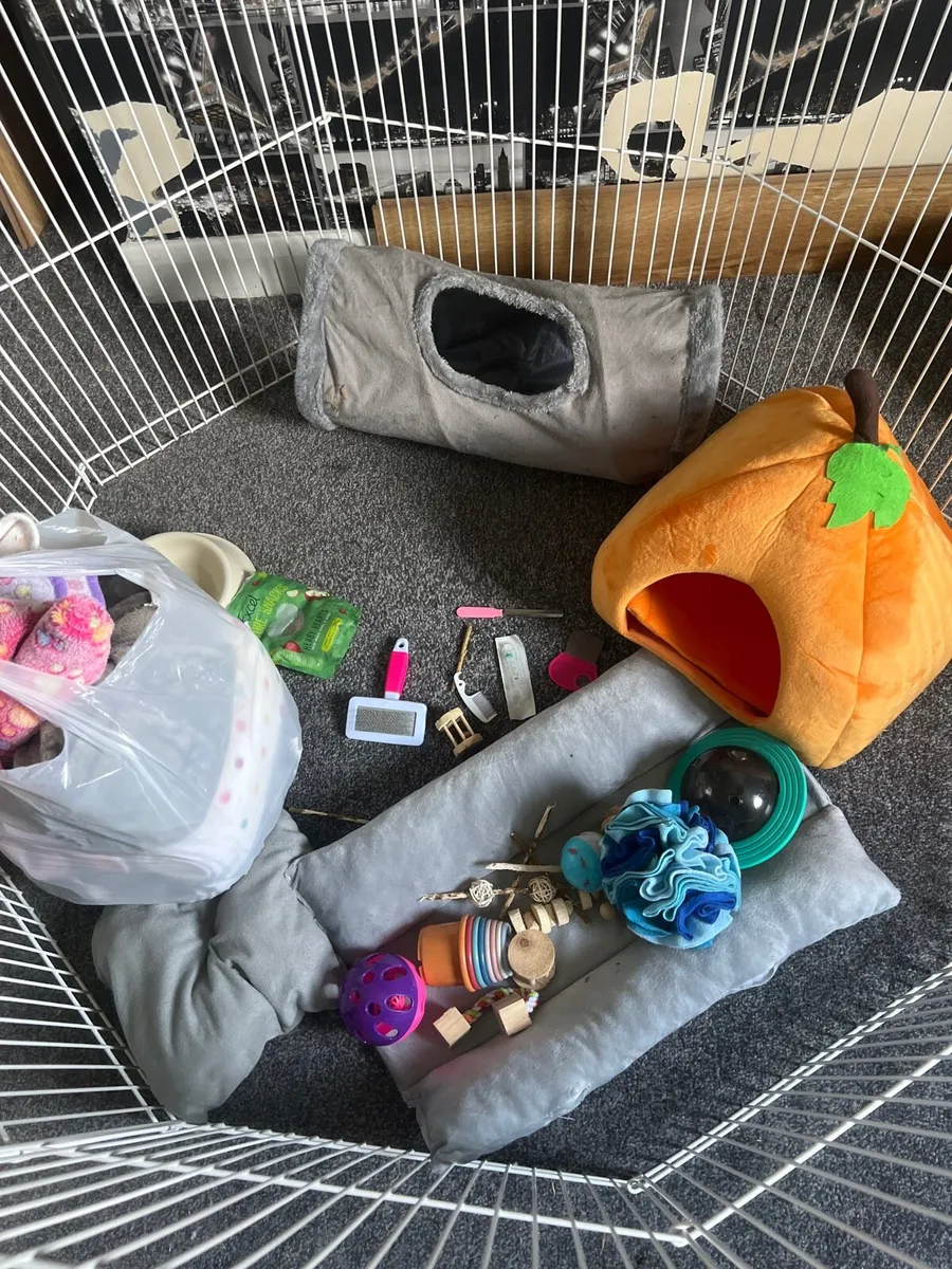 Full rabbit/bunny/small animal cage set up - Image 1