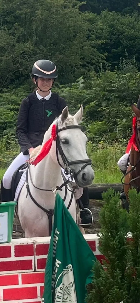 Grade A Showjumping/All Rounder 13.2 Pony - Image 1