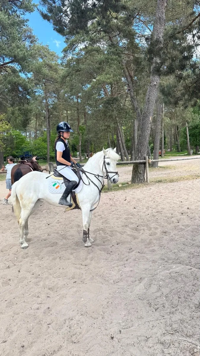 Grade A Showjumping/All Rounder 13.2 Pony - Image 3