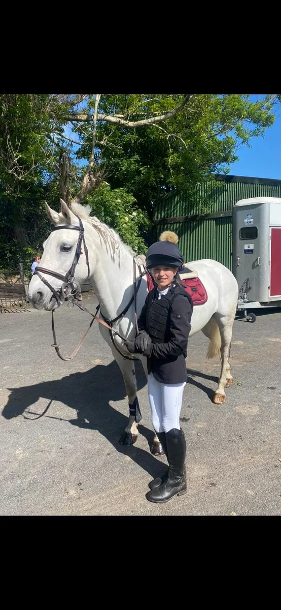Grade A Showjumping/All Rounder 13.2 Pony - Image 4