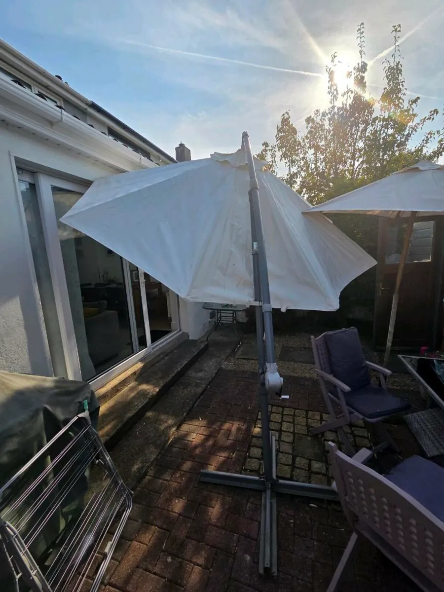 Parasol - Image 3