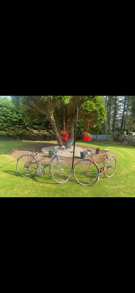 Bikes - Image 1