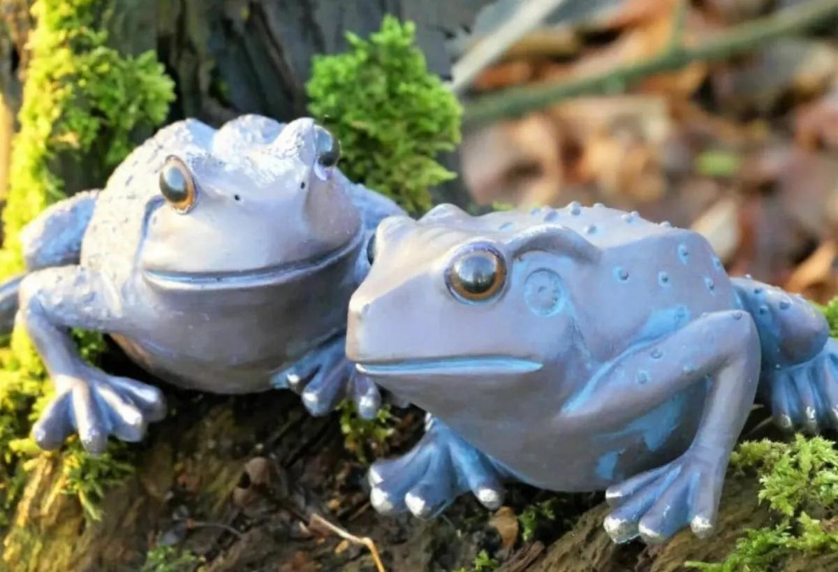 2 x  Frogs Garden Ornaments Bronze Effect NEW - Image 3