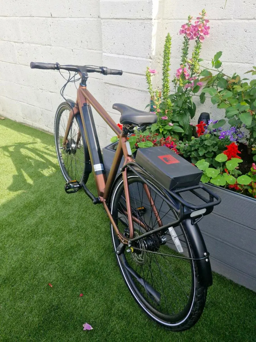 Kuma electric bike - Image 3