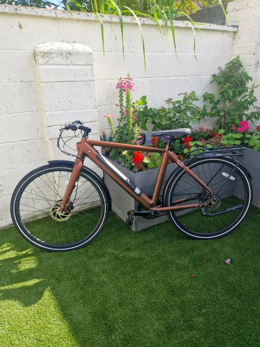 Kuma electric bike - Image 4