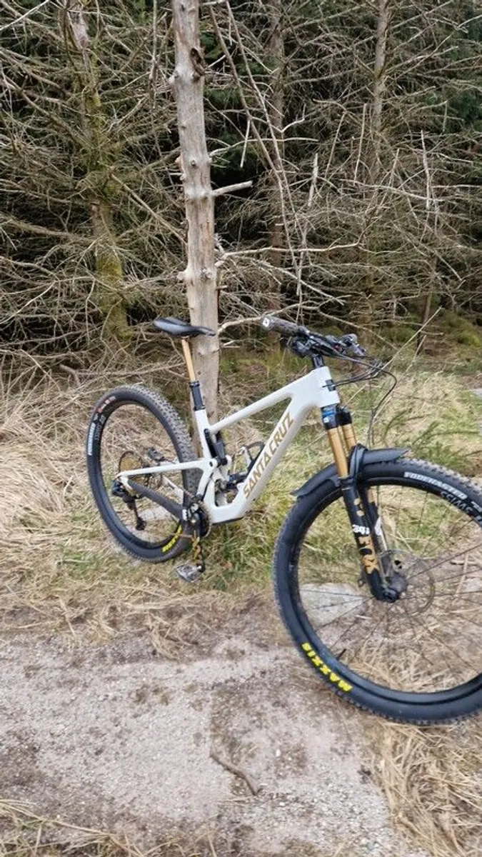 Santa Cruz Tallboy frame - Image 2