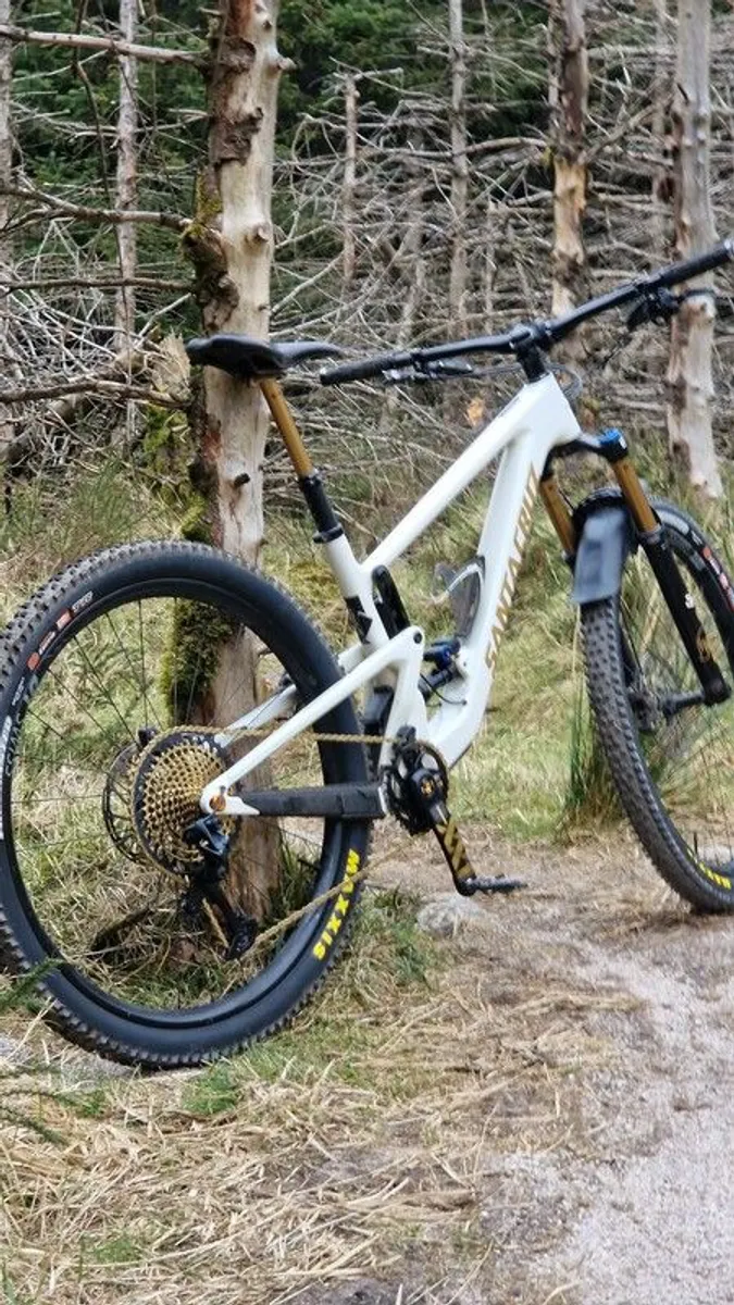Santa Cruz Tallboy frame - Image 4