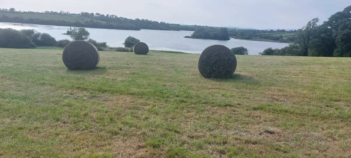 IF CARLSBERG made hay . ORGANIC - Image 2