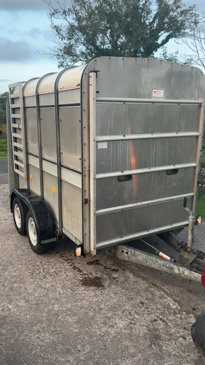 Ifor Williams cattle / sheep trailer - Image 1
