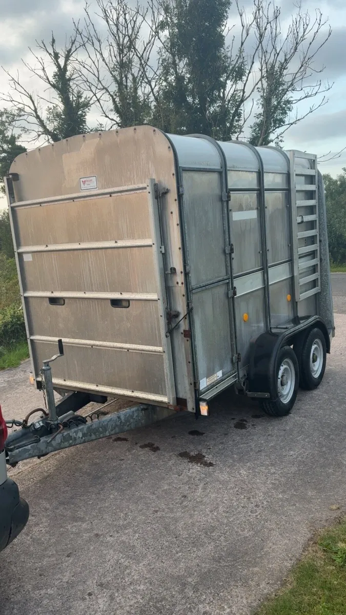 Ifor Williams cattle / sheep trailer - Image 2