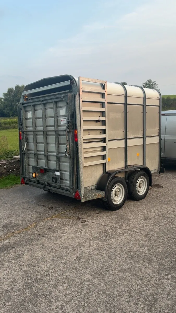 Ifor Williams cattle / sheep trailer - Image 3