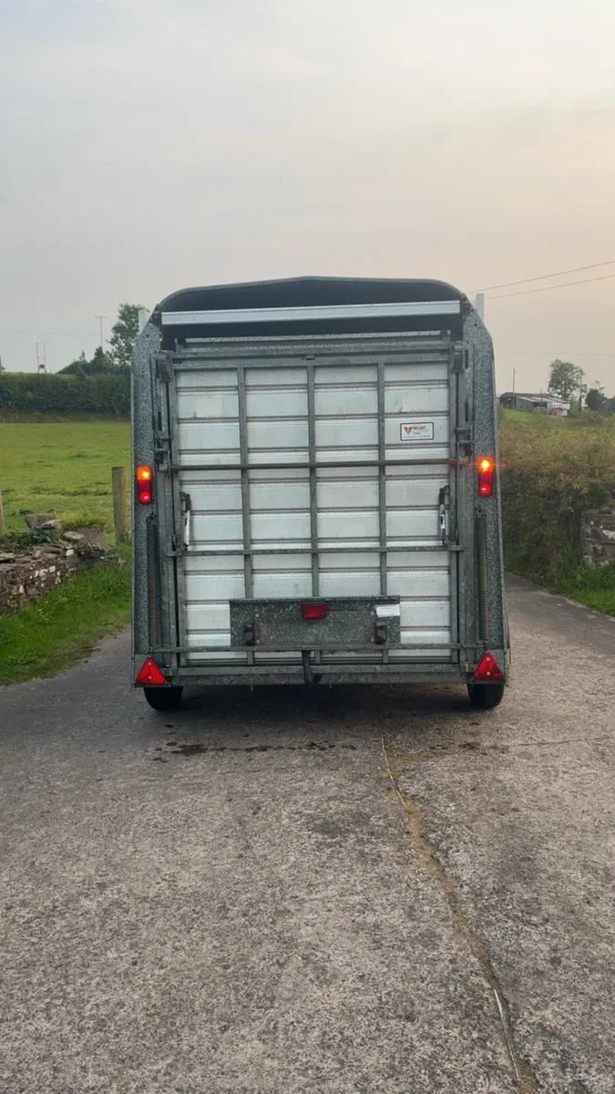 Ifor Williams cattle / sheep trailer - Image 4