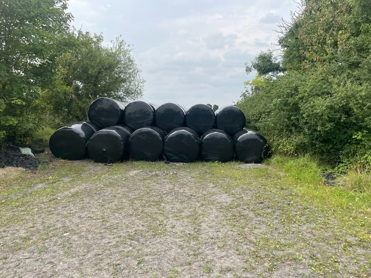 Silage buy 70 and get 7 free - Image 1