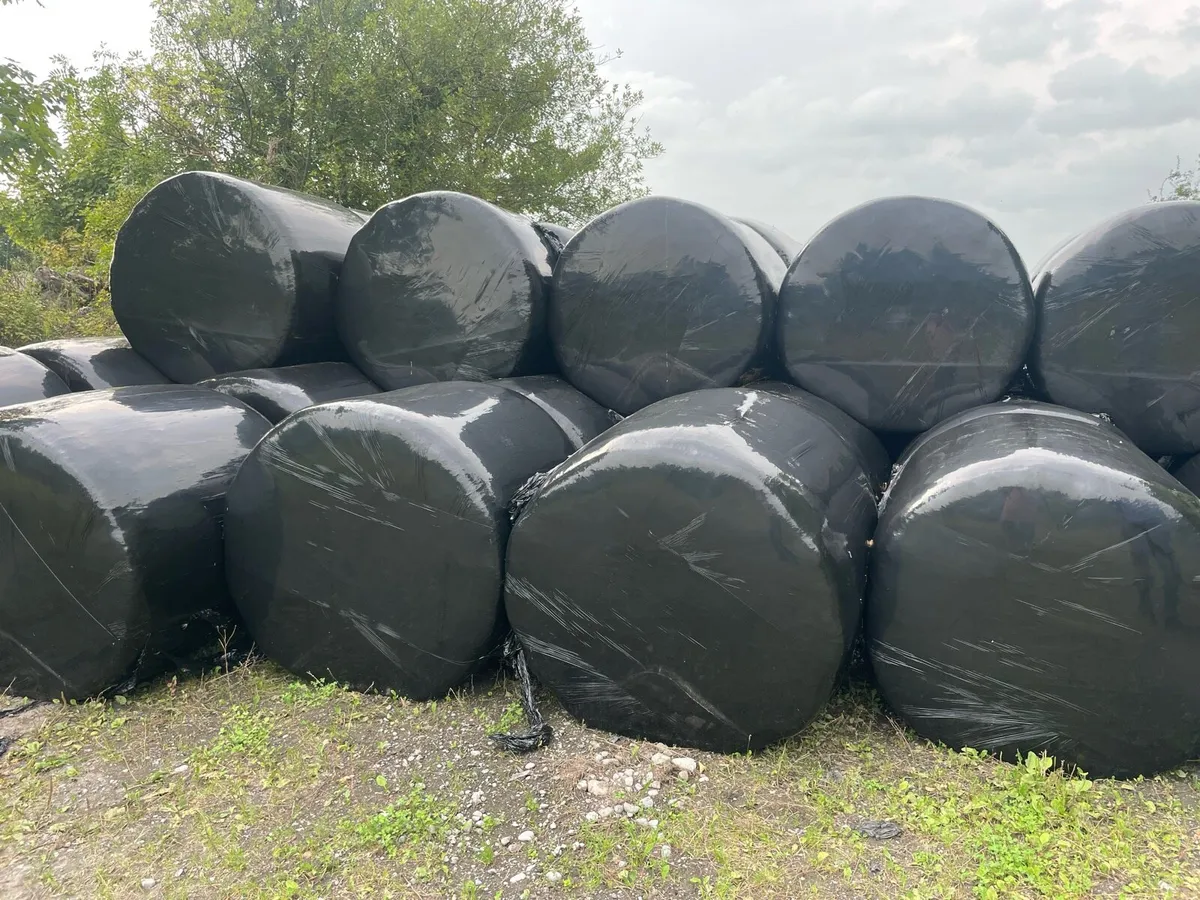 Silage buy 70 and get 7 free - Image 3