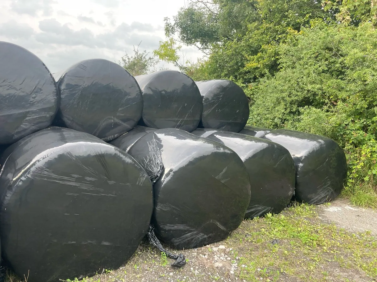 Silage buy 70 and get 7 free - Image 4