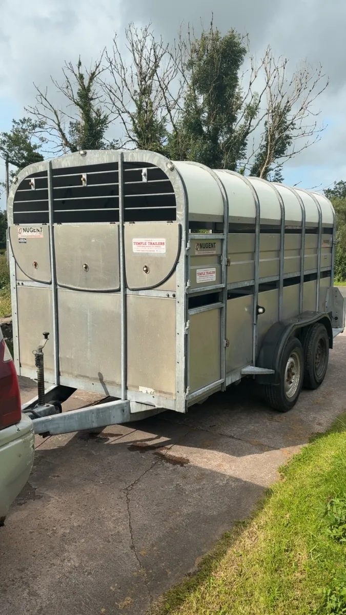 Nugent Cattle / sheep Trailer - Image 1