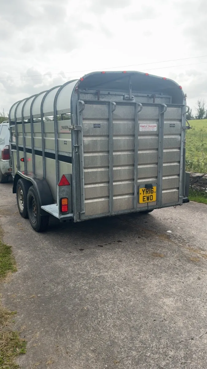 Nugent Cattle / sheep Trailer - Image 4