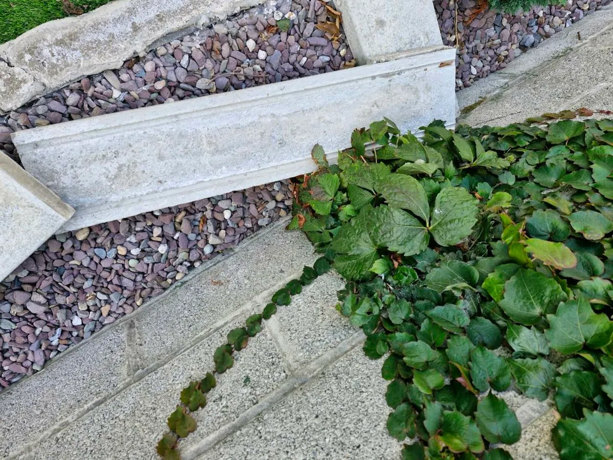 Wall capping - Image 3