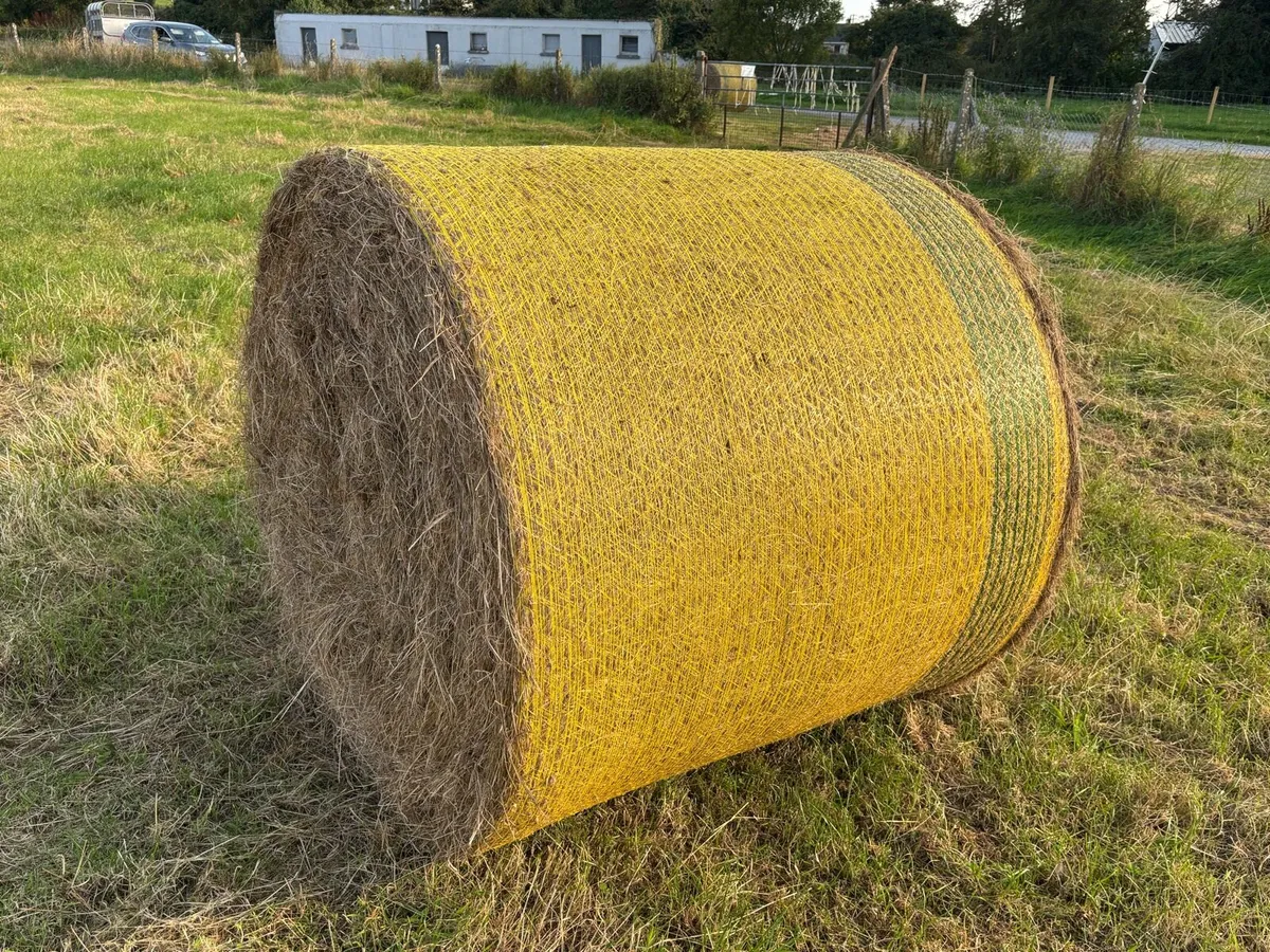 Hay - Round Bales 70 - Image 2