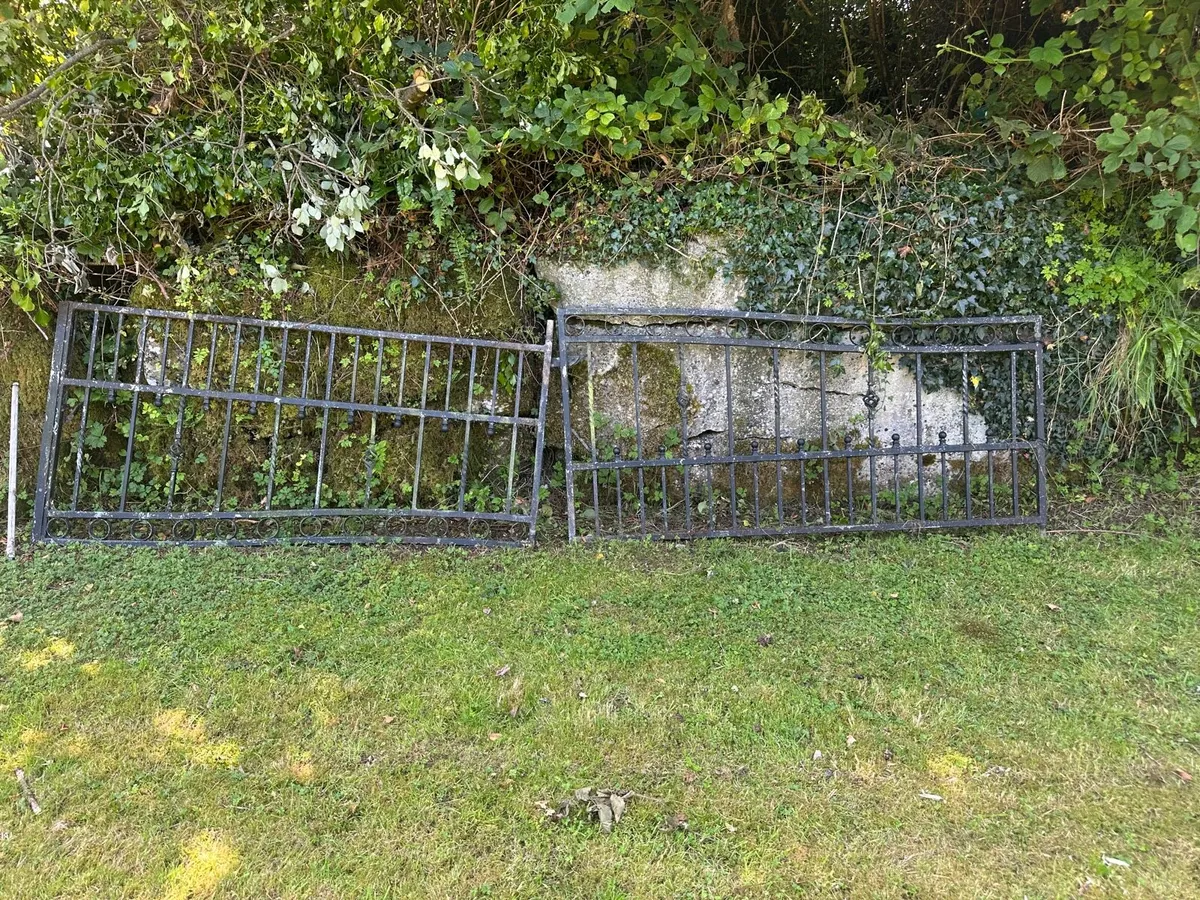 Iron gates - Image 1