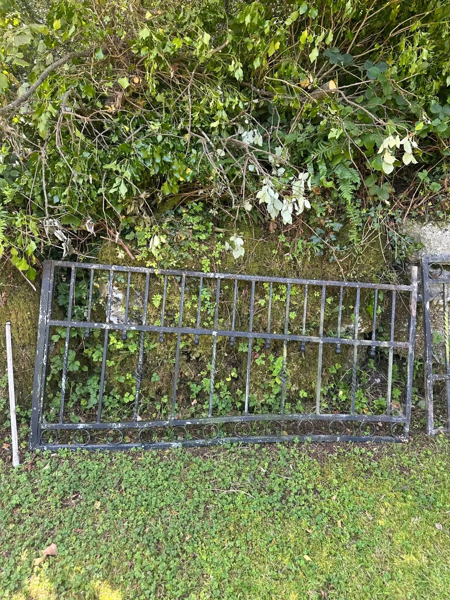 Iron gates - Image 2