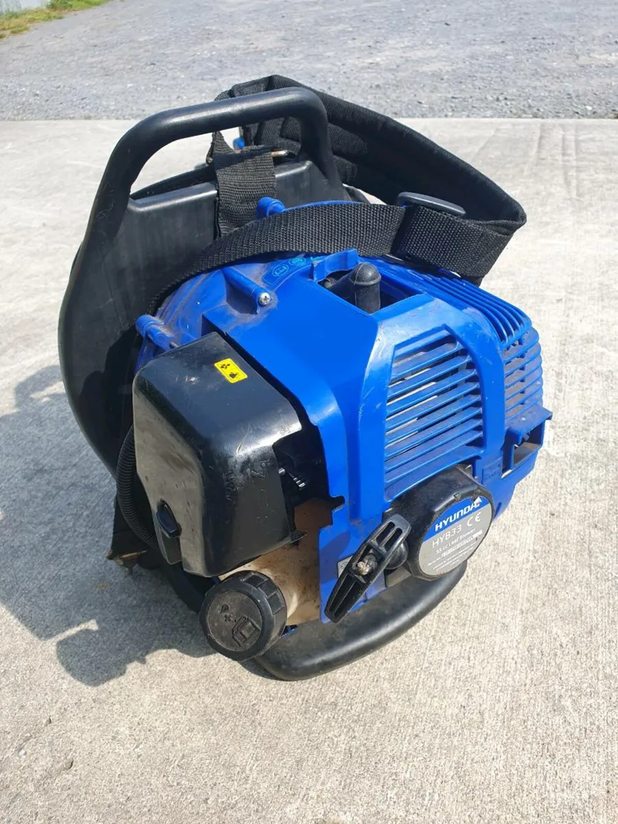 Hyundai backpack leaf blower ! - Image 1