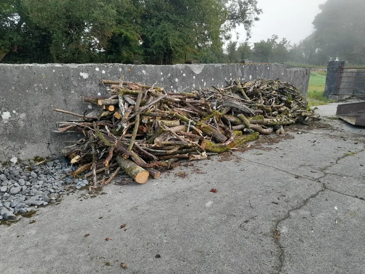 Firewood