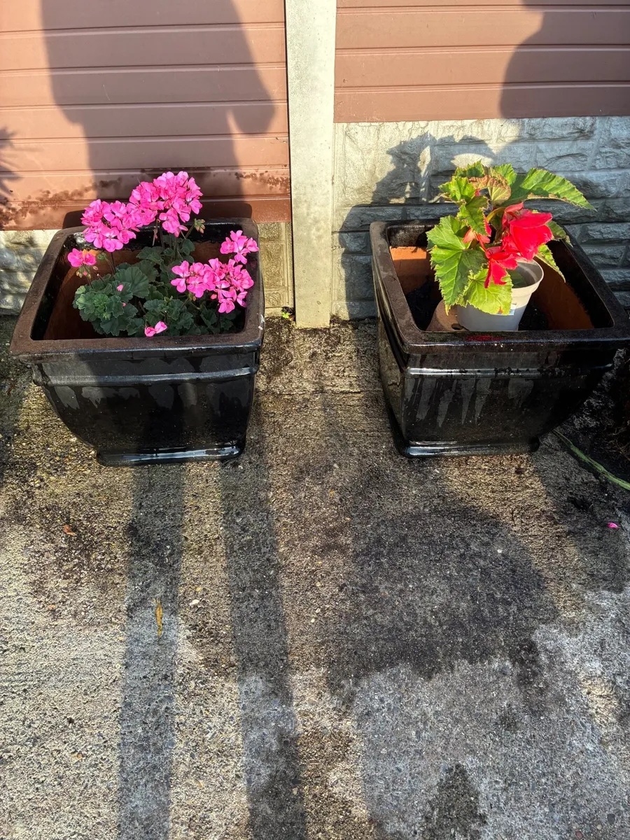 2 Large Black Glazed concrete Flower Pots - Image 1