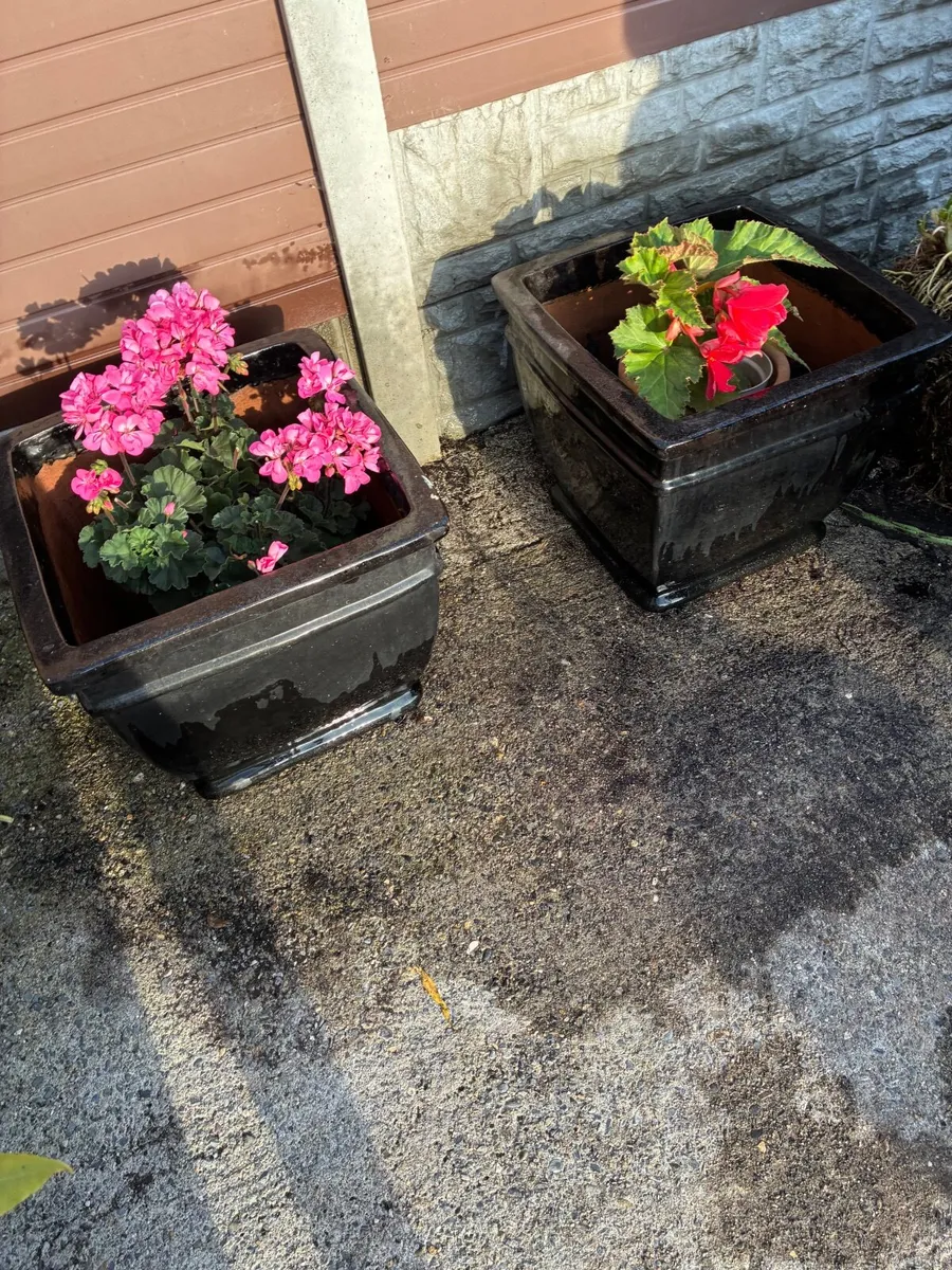 2 Large Black Glazed concrete Flower Pots - Image 2