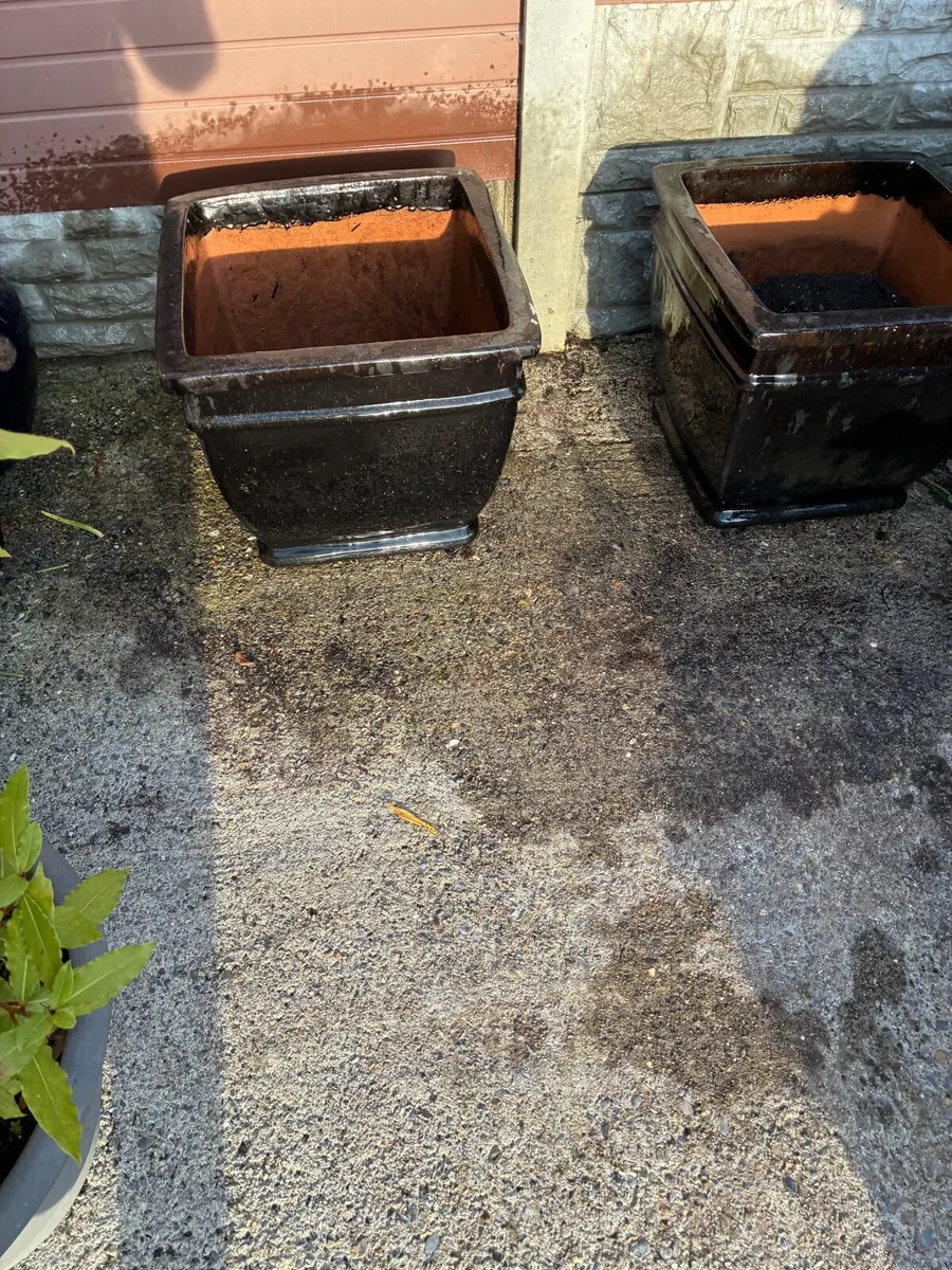2 Large Black Glazed concrete Flower Pots - Image 3