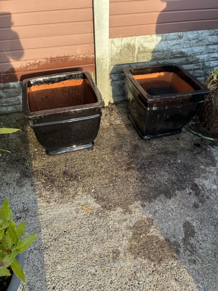 2 Large Black Glazed concrete Flower Pots - Image 4