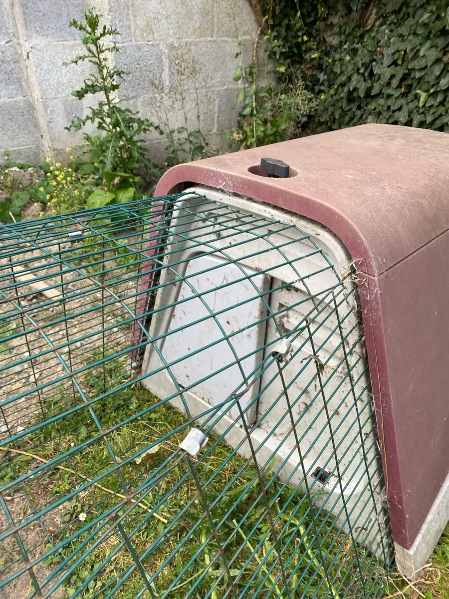 Genuine eglu guinea pig/rabbit hutch & run - Image 2