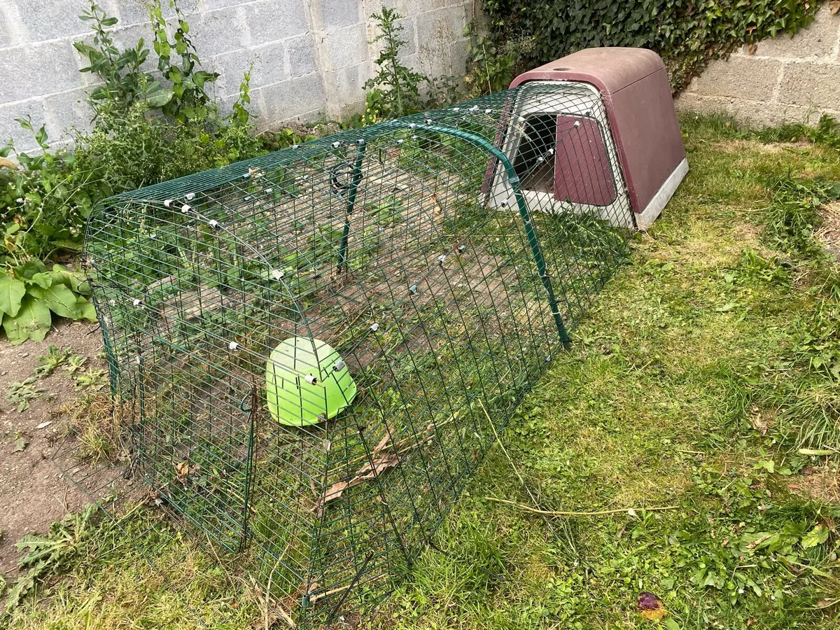 Genuine eglu guinea pig/rabbit hutch & run - Image 4