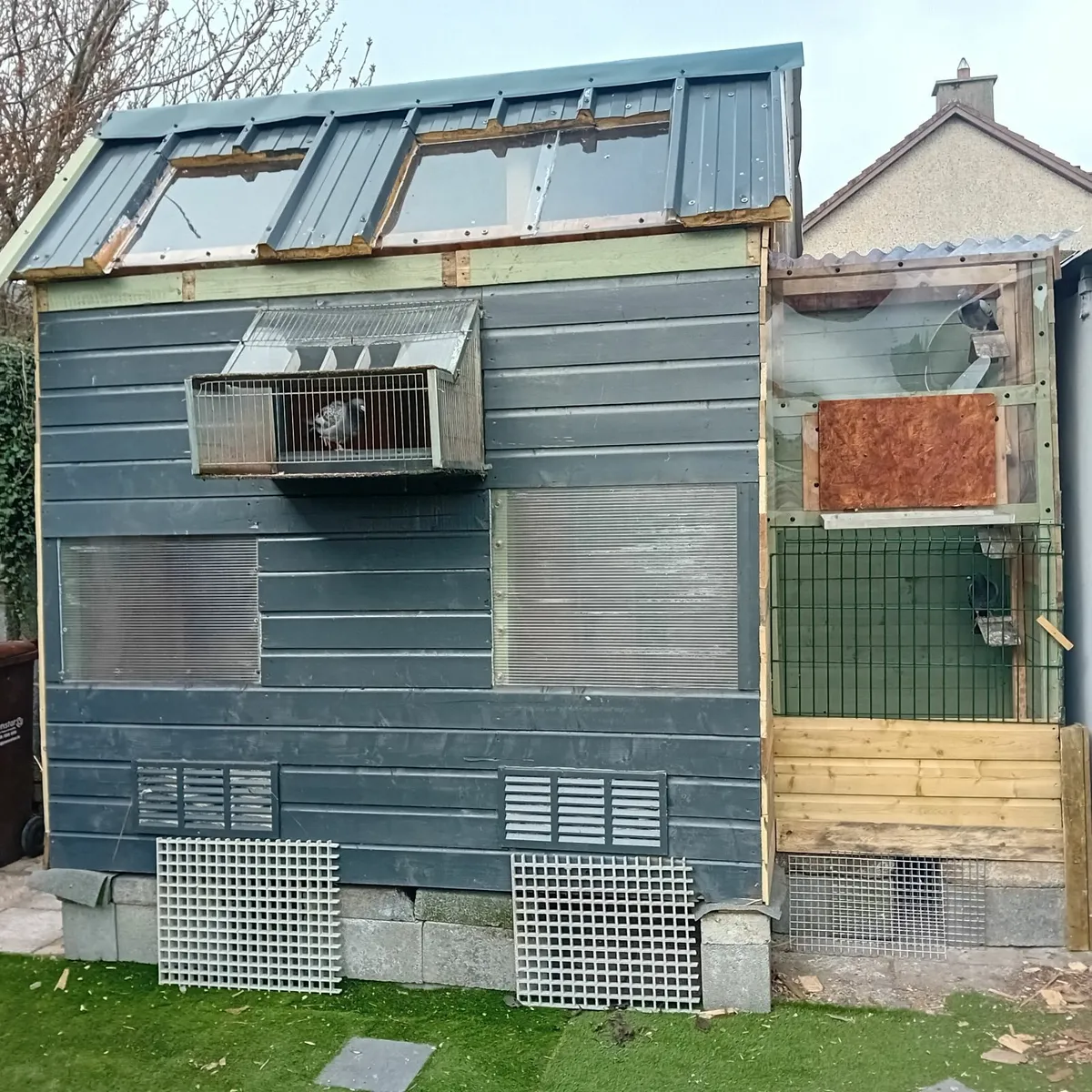 Pigeons  loft - Image 3