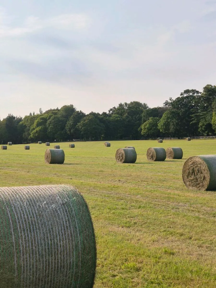 Hay north Dublin - Image 1