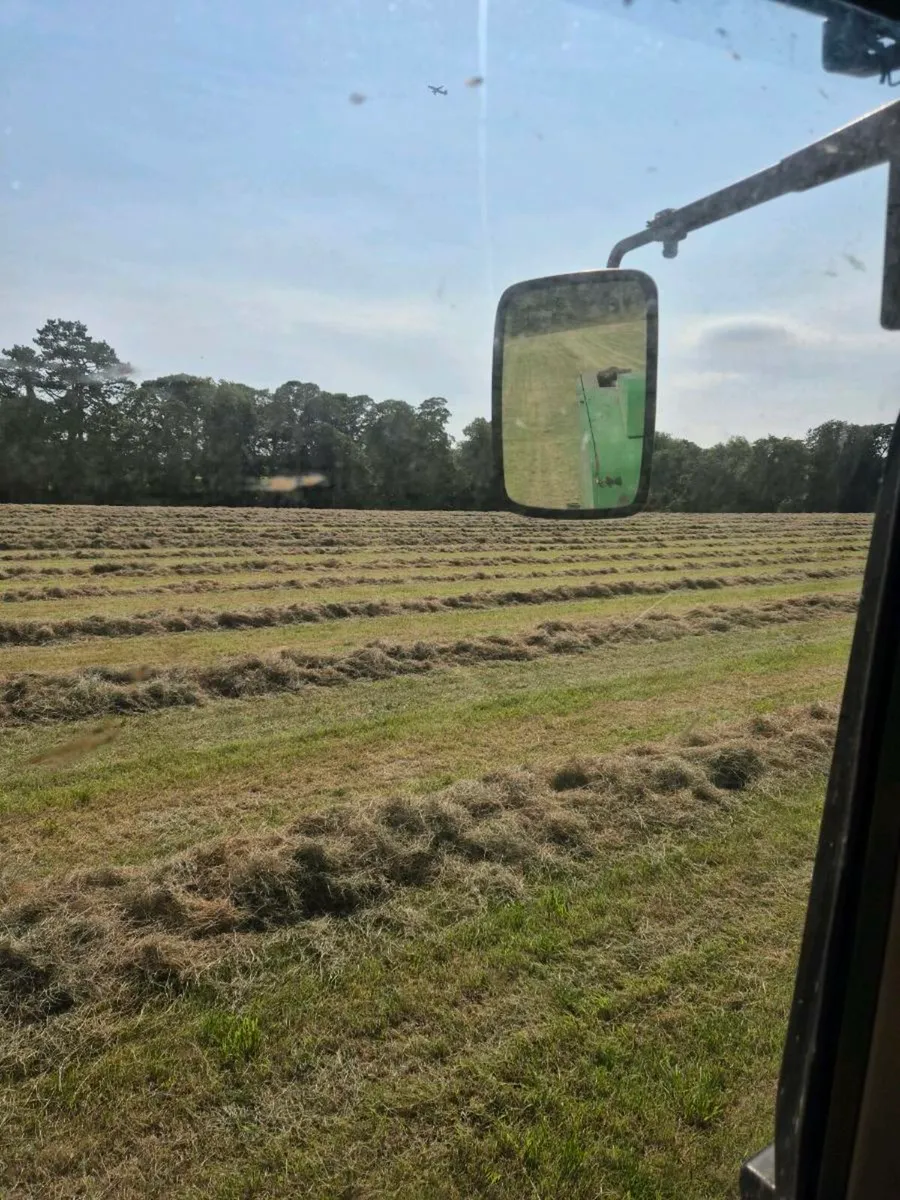 Hay north Dublin - Image 4