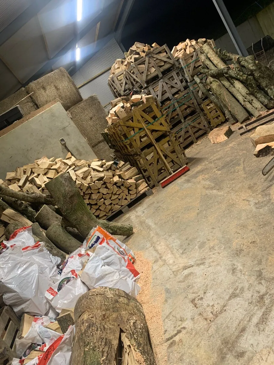 Ash firewood - Image 1