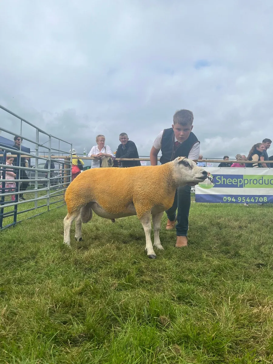 🔥🔥serious pb ram for sale - Image 2