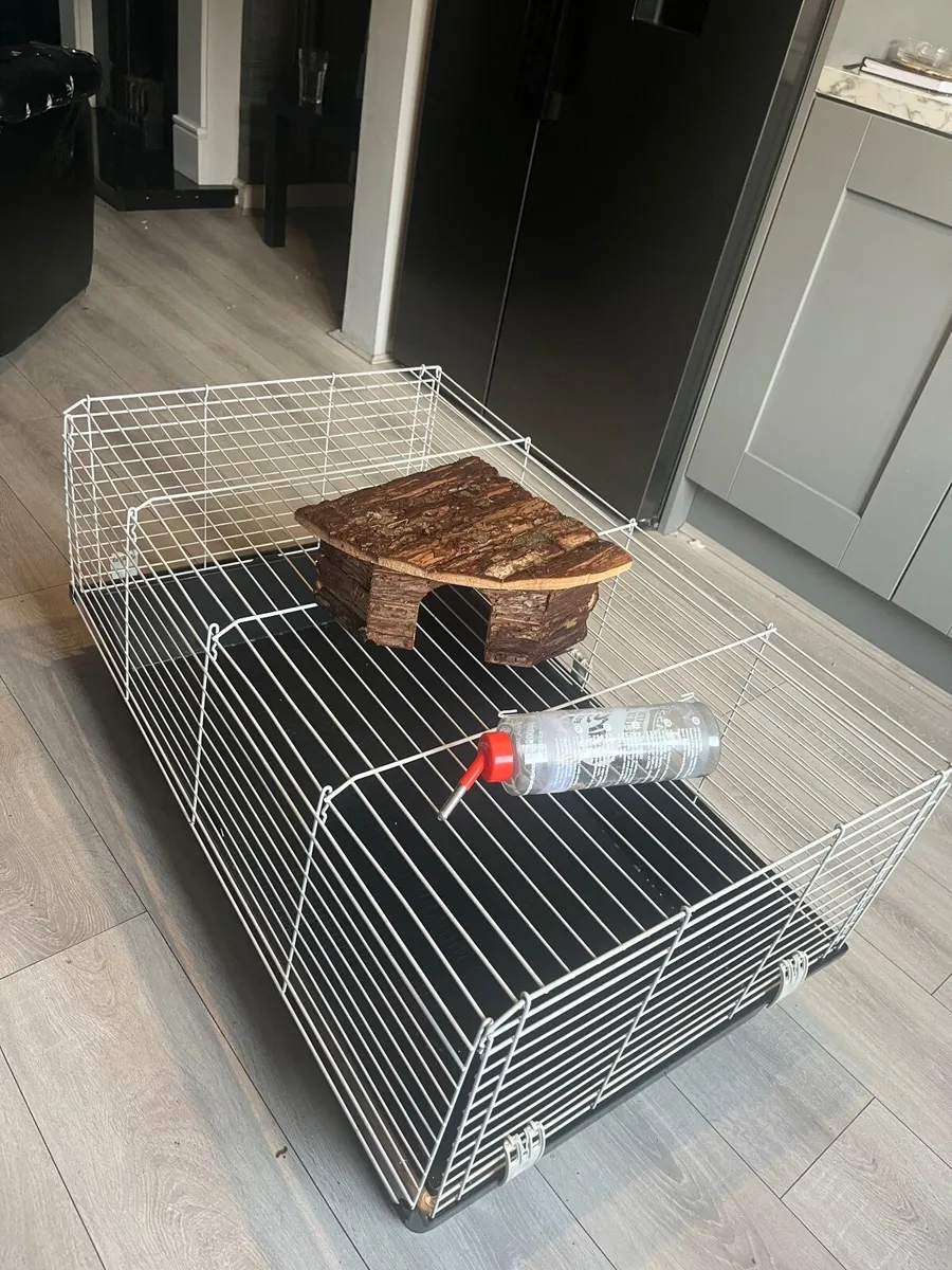 Rabbit cage - Image 1