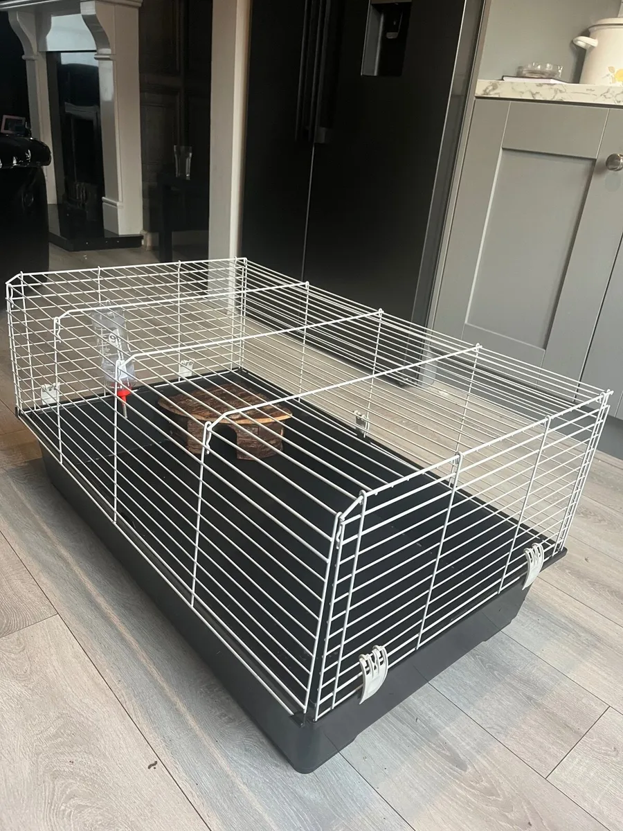 Rabbit cage - Image 2