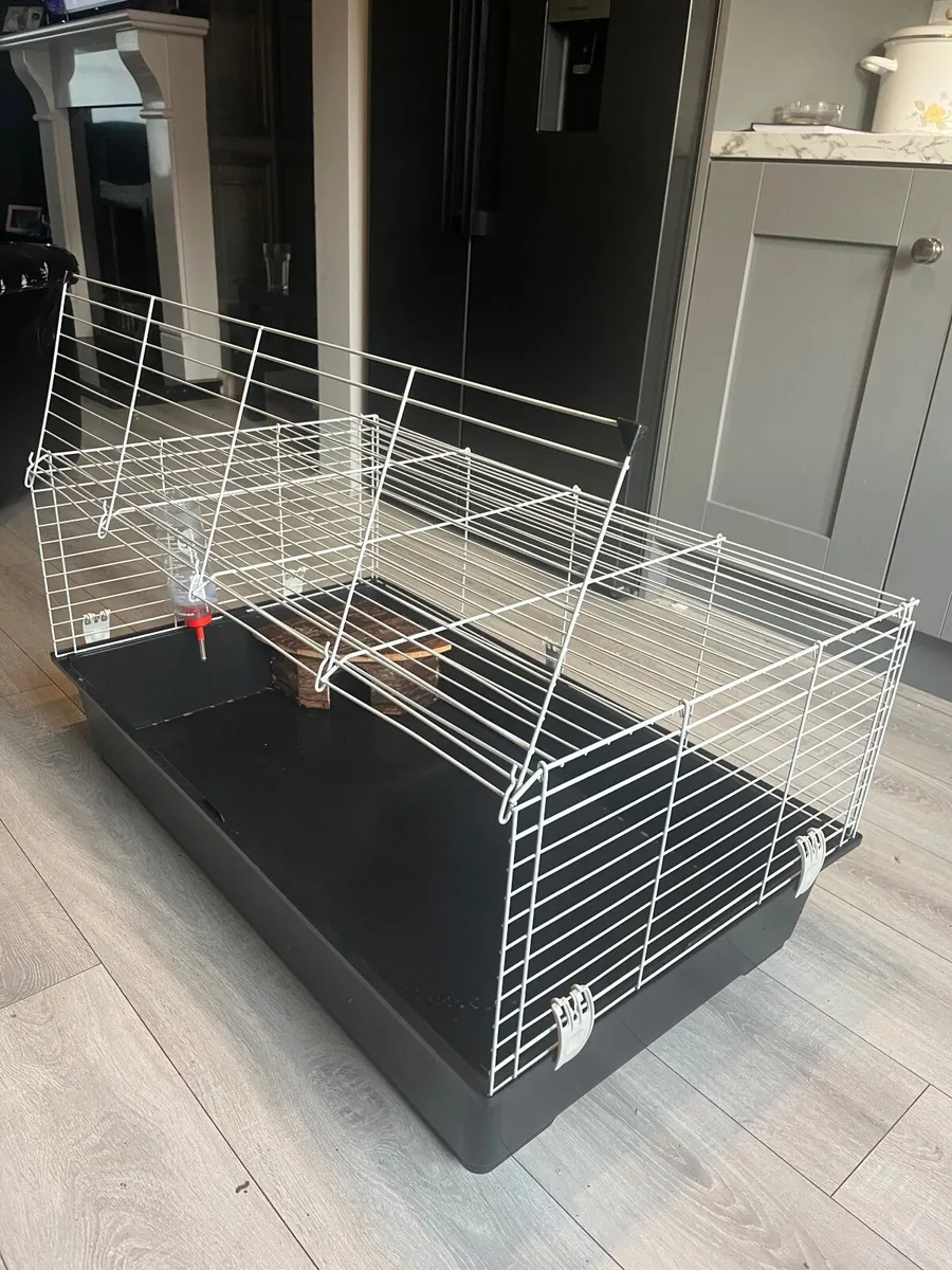 Rabbit cage - Image 3
