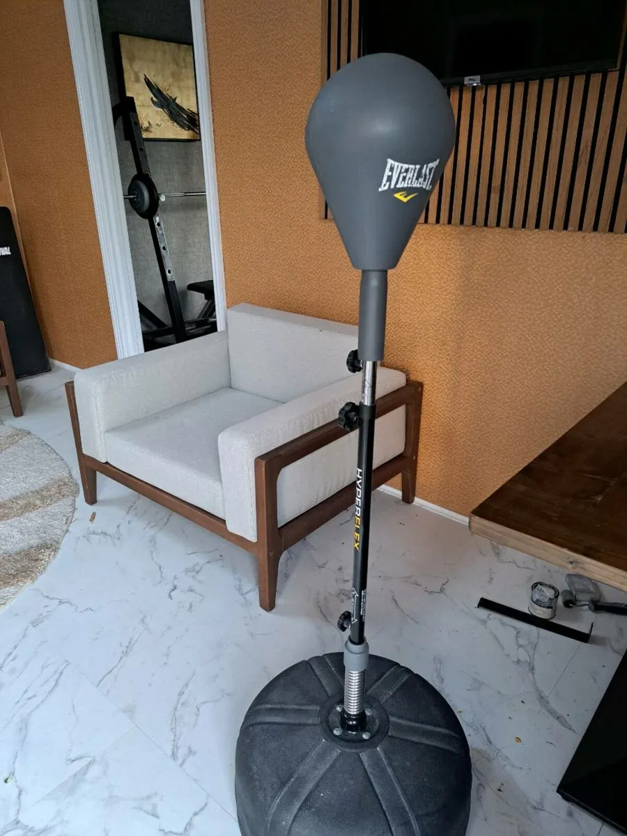 Everlast Punching bag - Image 1